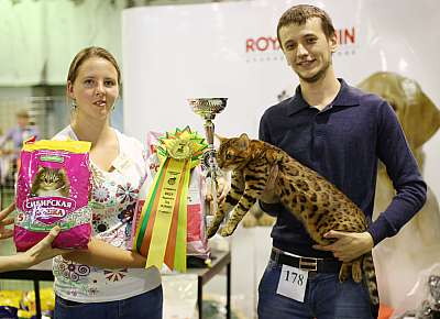 �������� ����� '���-�����-��������' 20-21 �������� 11-178-169A2450 copy.jpg